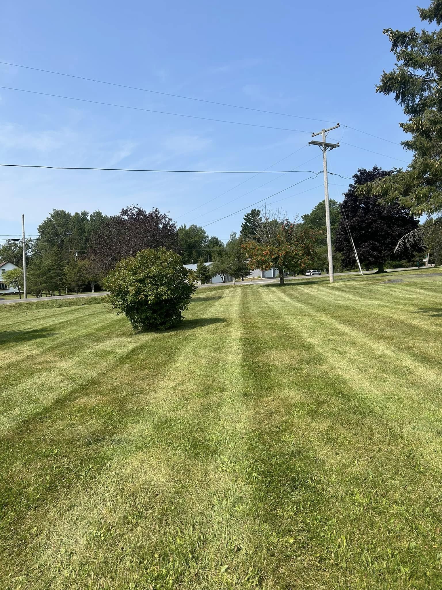 Large lawn with professional striping